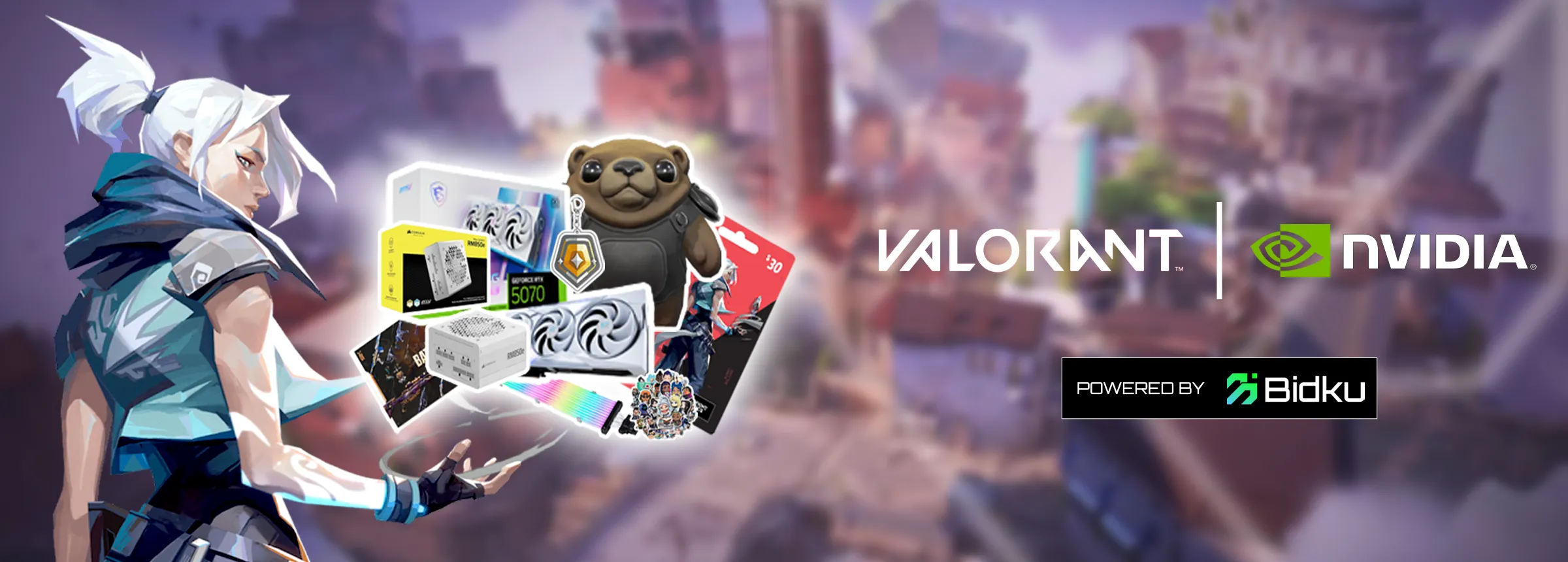 Highend GPU Enthusiast - Nvidia x Valorant Edition