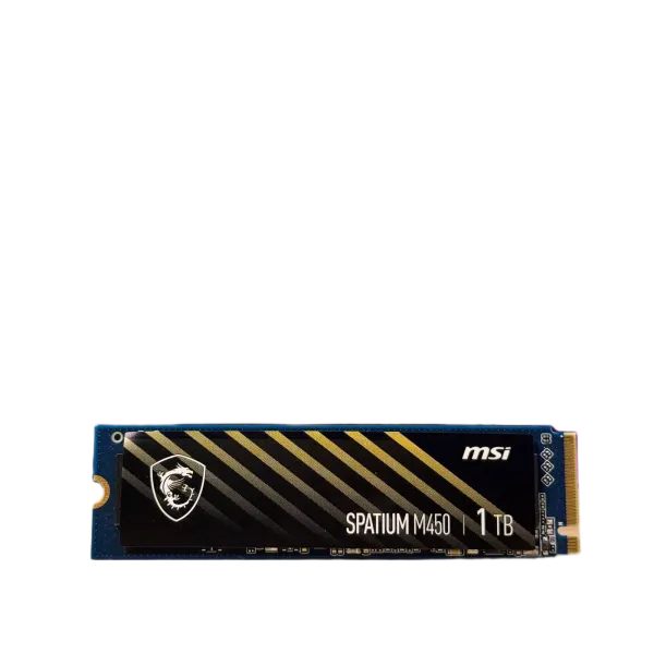 MSI Spatium M450 1TB